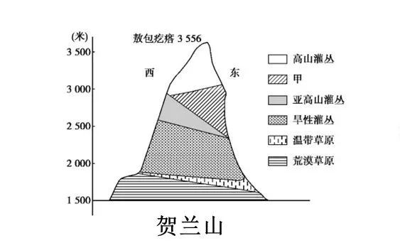 垂直自然带谱