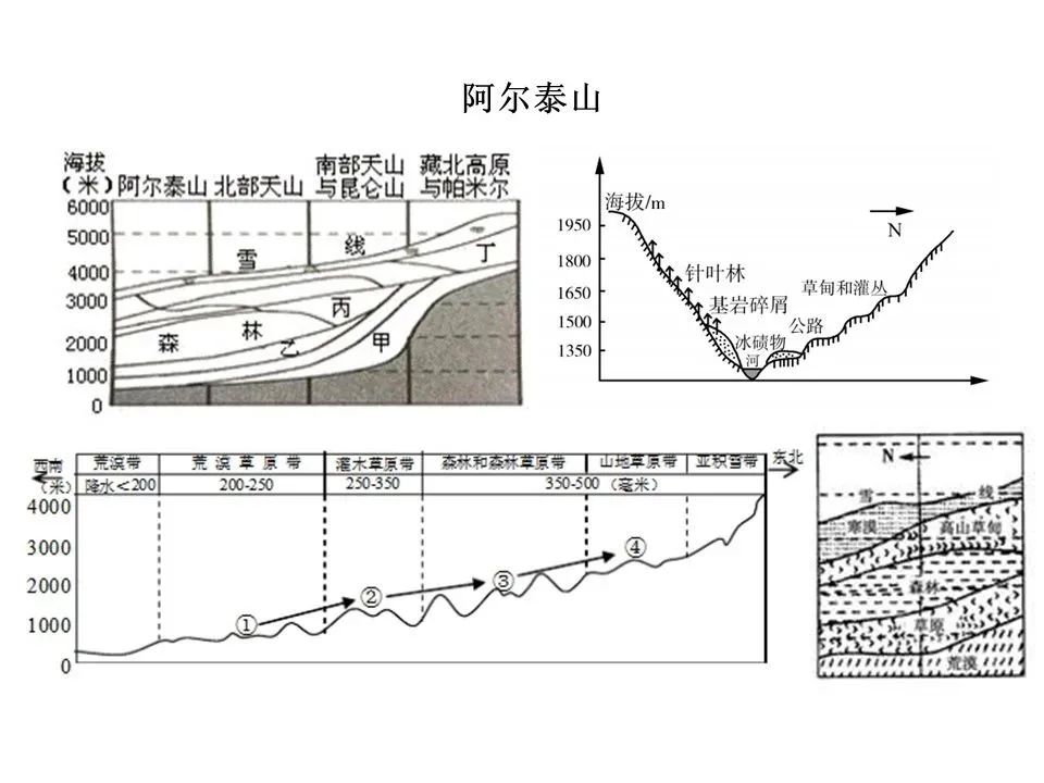 垂直自然带谱