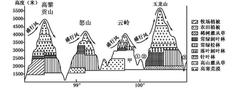 垂直自然带谱