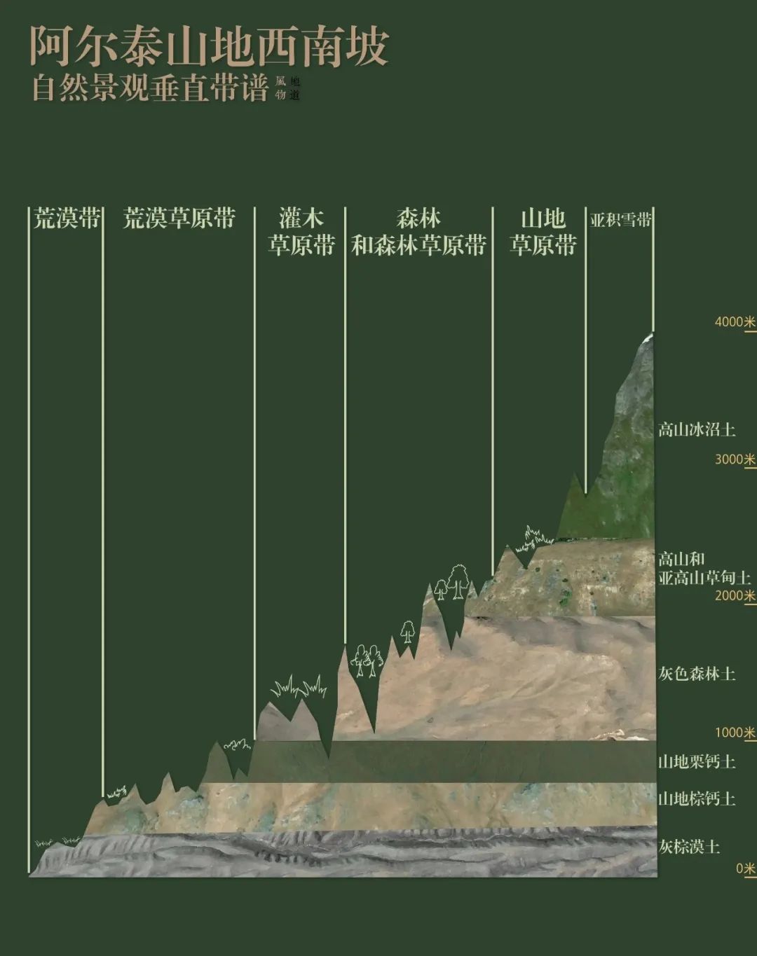 垂直自然带谱