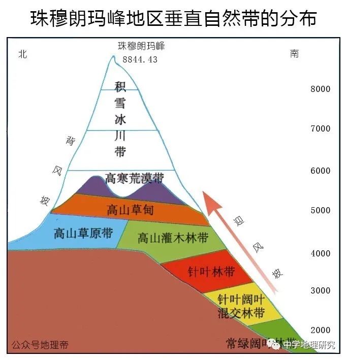 垂直自然带谱