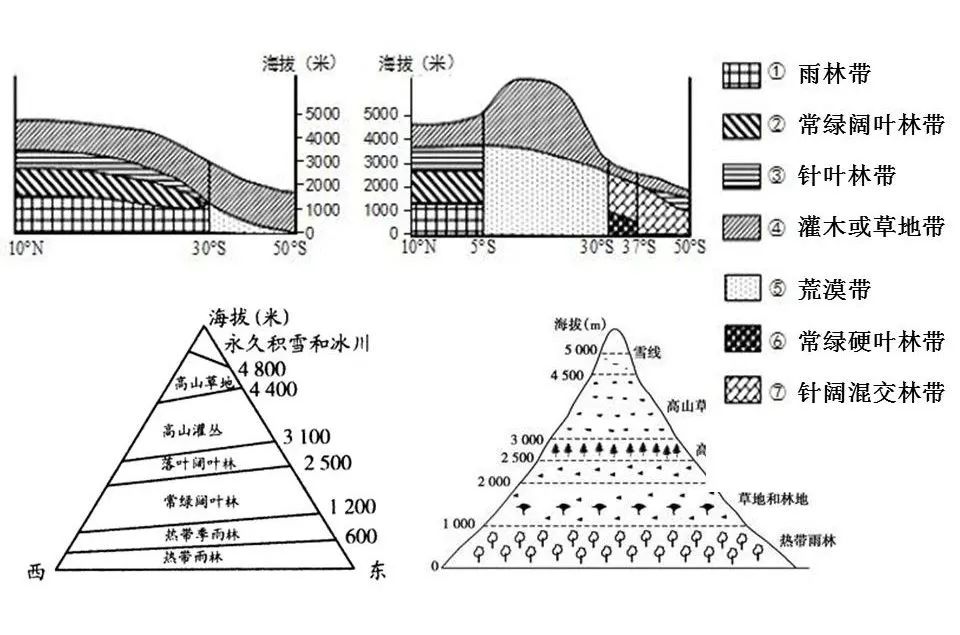 垂直自然带谱