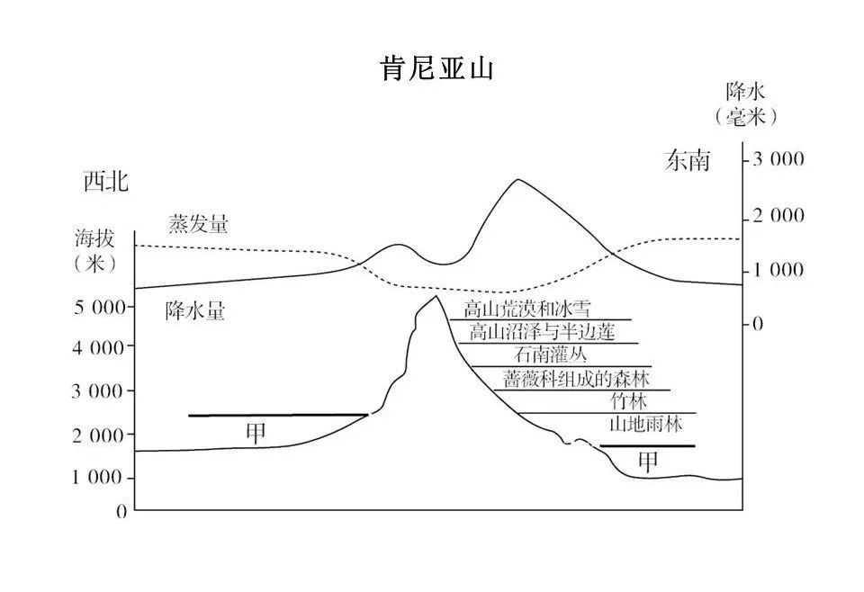 垂直自然带谱