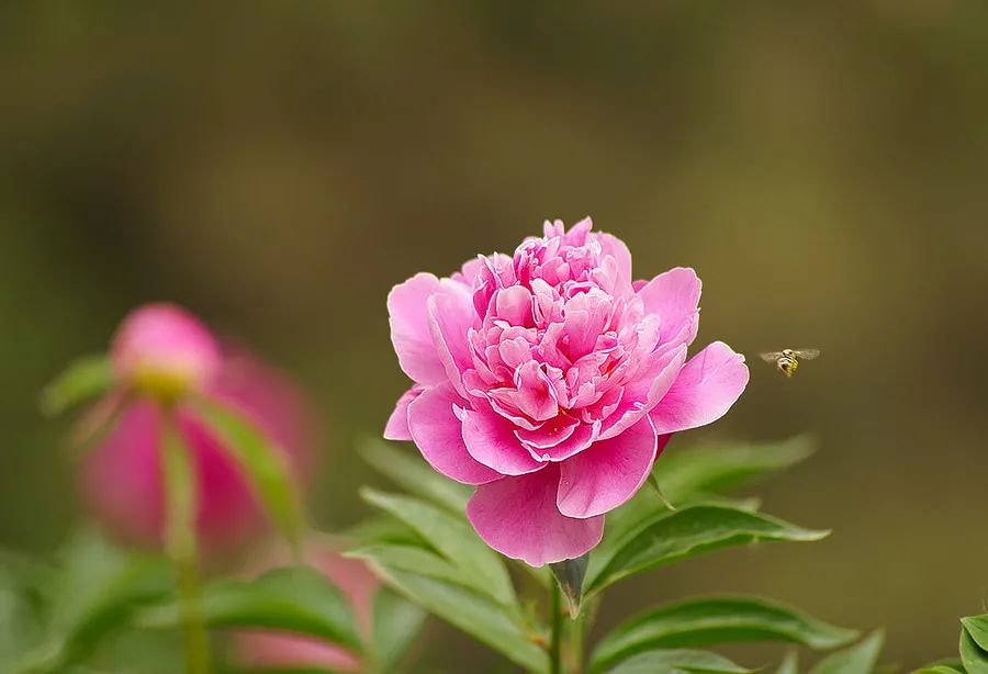 上巳节