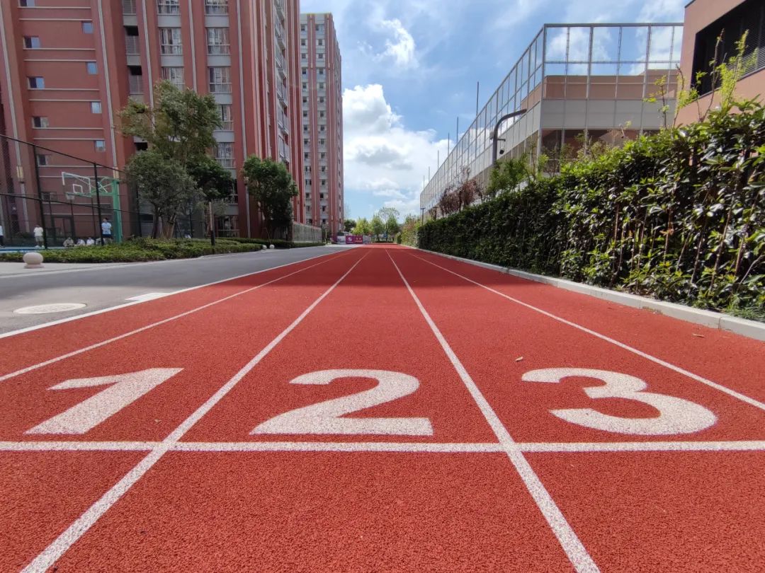 圣华紫竹学院