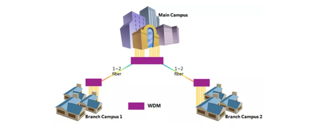 美国大学分校